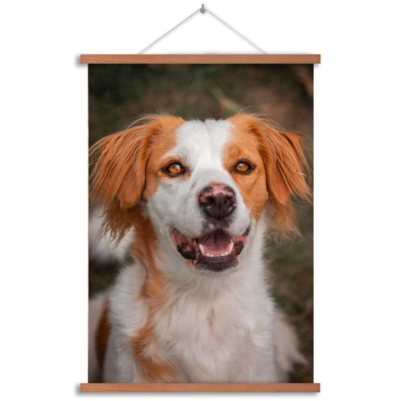 Edge Collections - Multi - Customizable Magnetic Photo Canvas Frame - 1 Piece